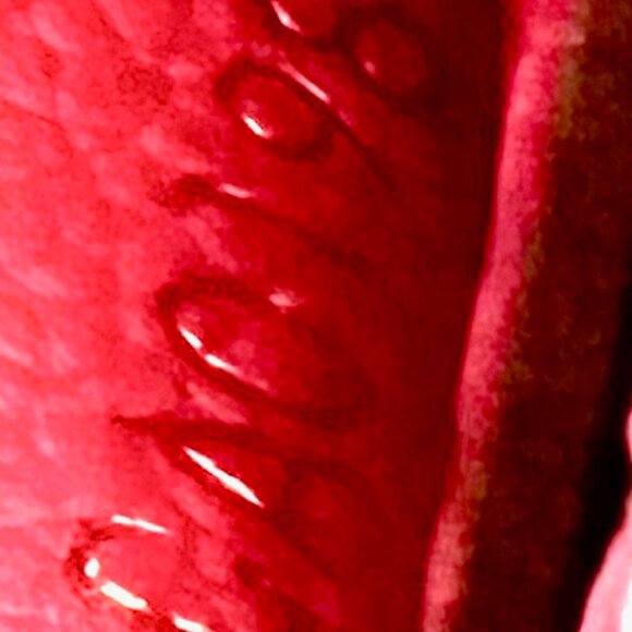 Louis Vuitton Monogram Empreinte Envelope Continental Wallet w/COA - EUC - Picture 8 of 8